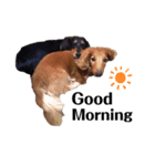 松井さん家のお犬様（個別スタンプ：1）