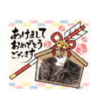 にゃンとりオ（個別スタンプ：13）