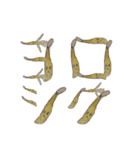 バナナのキーホルダー（個別スタンプ：15）