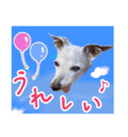 イタグレ女子♡ベルナの日常会話（個別スタンプ：9）