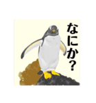 神在月のペンギンスタンプ15（個別スタンプ：9）