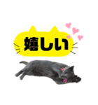 【日常会話】ロシアンブルーのるるちゃん（個別スタンプ：13）