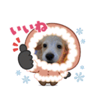 ミニチュアダックスとトイプードル♡（個別スタンプ：3）