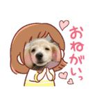 ミニチュアダックスとトイプードル♡（個別スタンプ：23）