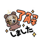 ミニチュアダックスとトイプードル♡（個別スタンプ：26）