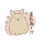 つぶらうさぎ（個別スタンプ：2）