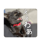 うにうにうなうな（個別スタンプ：1）