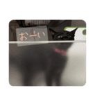 うにうにうなうな（個別スタンプ：2）