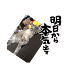もちゃ＆さゆ＆ゆら（個別スタンプ：22）