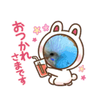 インコのラムネちゃん。（個別スタンプ：2）