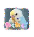 インコのラムネちゃん。（個別スタンプ：6）