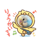 インコのラムネちゃん。（個別スタンプ：14）