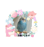 インコのラムネちゃん。（個別スタンプ：18）