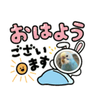 インコのラムネちゃん。（個別スタンプ：22）
