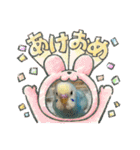 インコのラムネちゃん。（個別スタンプ：32）