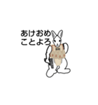 うさぎ兵（個別スタンプ：4）