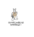 うさぎ兵（個別スタンプ：6）