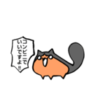 猫のきりみ（個別スタンプ：5）