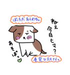 ♡修正版♡カピバラペンギンパンダ猫犬ッ♡（個別スタンプ：22）