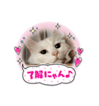 セルちゃん4（個別スタンプ：1）