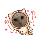 セルちゃん4（個別スタンプ：8）
