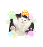 セルちゃん4（個別スタンプ：10）