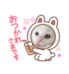 セルちゃん4（個別スタンプ：15）