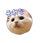 セルちゃん4（個別スタンプ：16）