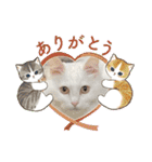 セルちゃん4（個別スタンプ：19）