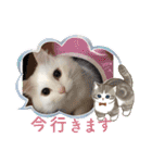 セルちゃん4（個別スタンプ：28）