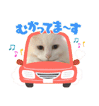 セルちゃん4（個別スタンプ：29）