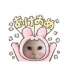 セルちゃん4（個別スタンプ：31）