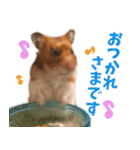 ハムスターのあまなつ（個別スタンプ：2）