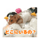 ハムスターのあまなつ（個別スタンプ：4）