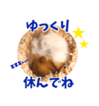 ハムスターのあまなつ（個別スタンプ：7）
