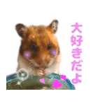 ハムスターのあまなつ（個別スタンプ：8）