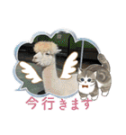 かわいいアルパカさんスタンプ④（個別スタンプ：27）