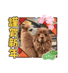 かわいいアルパカさんスタンプ④（個別スタンプ：37）