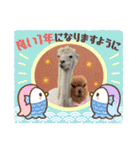 かわいいアルパカさんスタンプ④（個別スタンプ：40）
