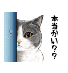 猫にまみれたがりのスタンプ3（個別スタンプ：2）