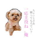 いえもん（個別スタンプ：4）