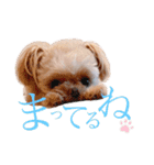 いえもん（個別スタンプ：5）