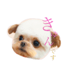 いえもん（個別スタンプ：6）