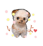 いえもん（個別スタンプ：14）