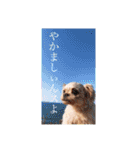 いえもん（個別スタンプ：21）