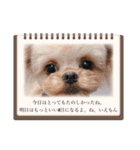 いえもん（個別スタンプ：24）