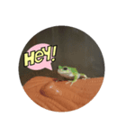 カエルのつぶやきfrog（個別スタンプ：4）