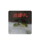 カエルのつぶやきfrog（個別スタンプ：5）