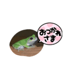 カエルのつぶやきfrog（個別スタンプ：6）