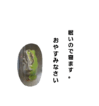 カエルのつぶやきfrog（個別スタンプ：8）